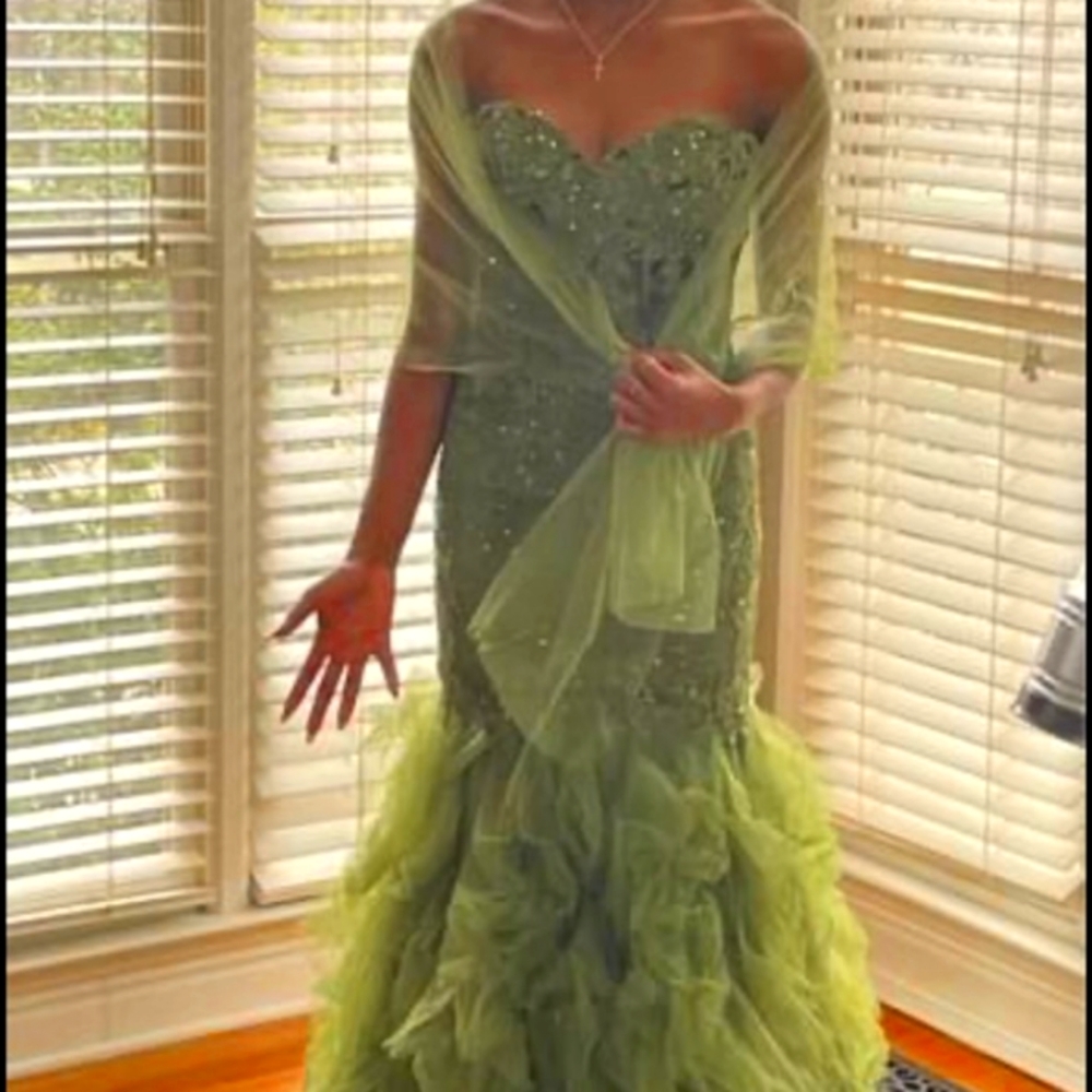 Prom/Pageant Gown - Picture 4 of 4